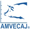 AMVECAJ XXXIII CONGRESO 2026