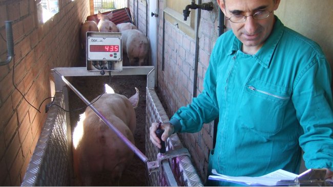Enric Marco, veterinario de Marco Vetgrup.