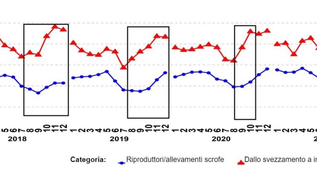 Grafico 1. Percentuale di campioni PCR positivi per le categorie di riproduttori e suini dallo svezzamento alla vendita. I riquadri neri mostrano i picchi più ripidi e/o precoci nei dati dallo svezzamento alla vendita rispetto a quelli dei riproduttori/scrofe. Fonte: ISU-VDL: Iowa State University Veterinary and Diagnostic Laboratory; UMN-VDL: University of Minnesota Veterinary and Diagnostic Laboratory; SDSU-ADRDL; South Dakota State University Animal Disease Research and Diagnostic Laboratory; KSU-VDL: Kansas State University Veterinary and Diagnostic Laboratory; OH-ADDL: Ohio Animal Disease and Diagnostic Laboratory.