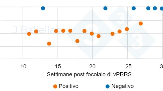 Figura 1. Evoluzione dei valori PCR Ct nelle settimane successive all'episodio di PRRS.