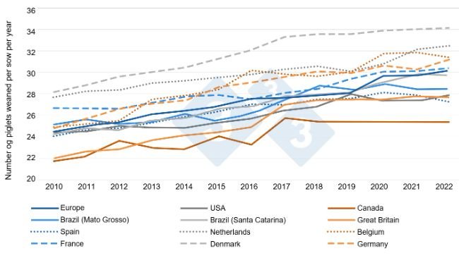 Figure 1. Evolution of prolificacy in different countries from 2010 to 2022. (Sanz-Fernández et al., 2024). Based on InterPIG data (www.interpig.org)