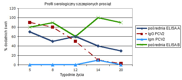 Profil serologiczny w grupie prosiąt szczepionych przeciw PCV2 przy odsadzaniu: porównanie serokonwersji oznaczonej przy użyciu dwóch pośrednich testów ELISA do wykrywania wszystkich klas przeciwciał.