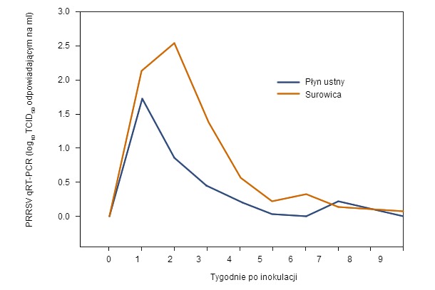 Wynik qRT-PCR w surowicy i płynie ustnym po inokulacji.