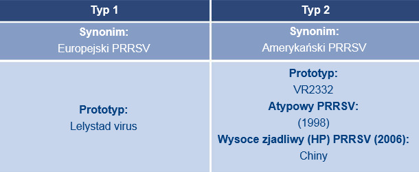 Currently recognized main PRRSV genotypes