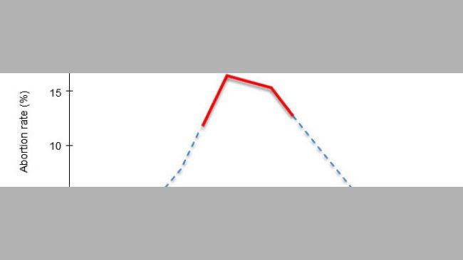 Reproductive failure caused by PRRSV