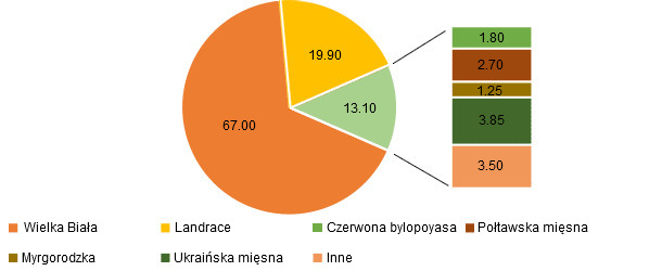 Breed composition of sows in Ukraine