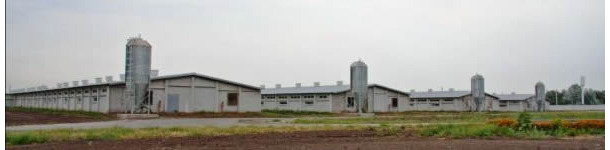 ukrainian farm
