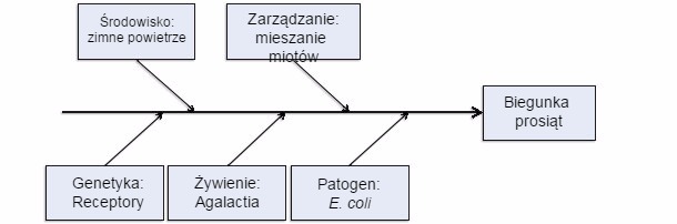 Pięć produkcyjnych przyczyn wejścia choroby.