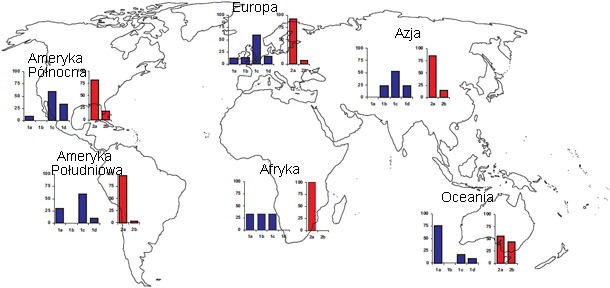 Geographic prevalences of different TTSuV strains