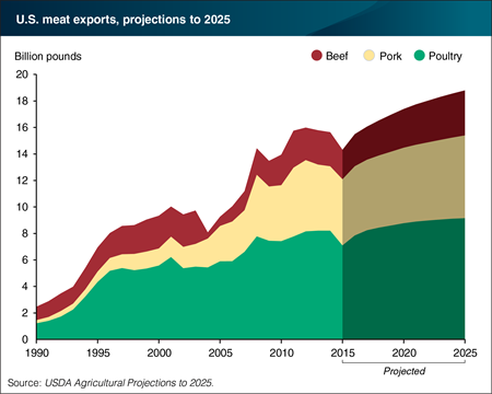 usa meat exports projections