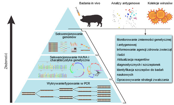 Surveillance of Influenza in Swine