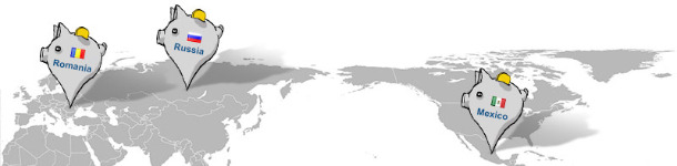 New prices in pig333