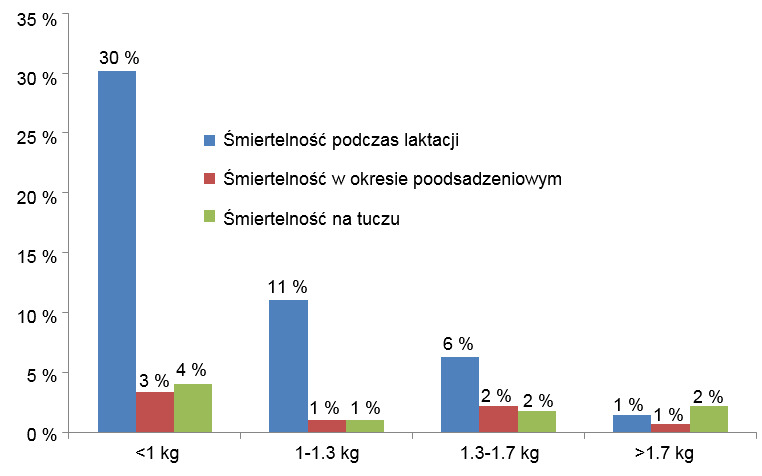 Mortality in each birth weight group by stage of production