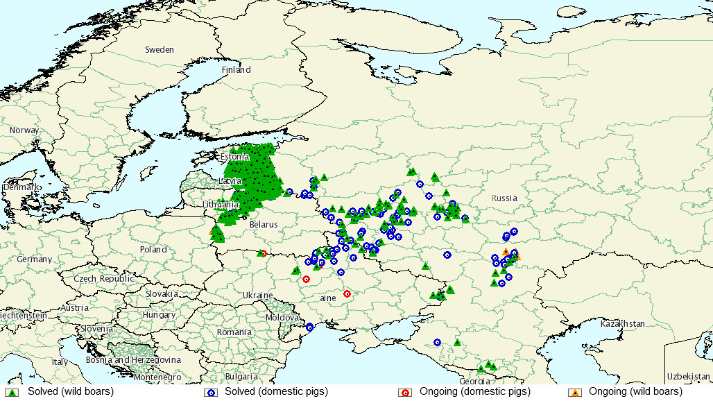 CSF in Russia from January 2014 to May 2016