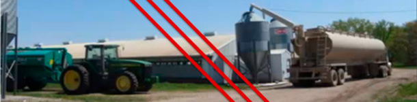 Oddzielenie paszy i ścieków jest niezbędnym elementem kontroli PEDV