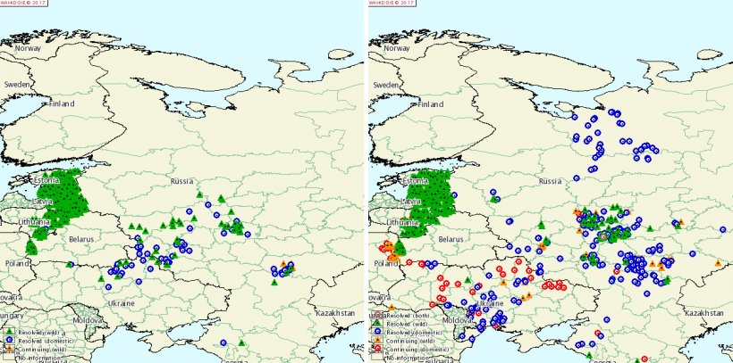 Przypadki ASF w Rosji i na Ukrainie w 2015 i 2016 r.
