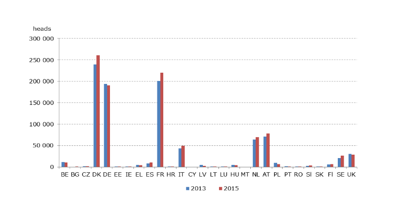 Liczba świń hodowanych organicznie w 2013&nbsp; i 2015 roku
