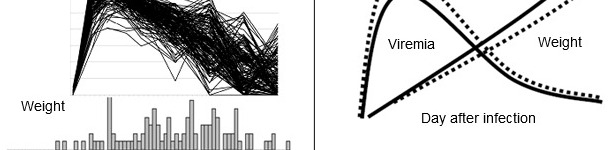 Skutki zakażenia PRRSV na poziomie populacji. Powyższa rycina przedstawia wiremię PRRSV (góra) i rozkład przyrostów masy ciała (dół) u 200 świń zakażonych doświadczalnie PRRSV.