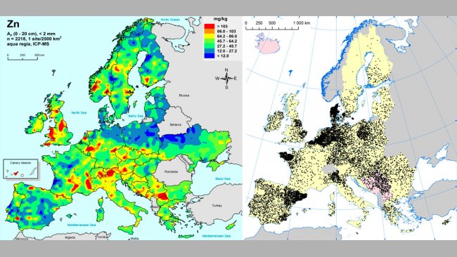 Po lewej: cynk w glebach uprawnych UE (Gemas 2014): Najwyższe poziomy cynku w glebie ( w g&oacute;rnych 20cm) na terenach uprawnych UE (źr&oacute;dło Reimann et al., 2014). Po prawej: stada loch w UE (Eurostat, 2014).
