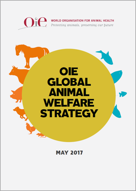  OIE global strategy on animal welfare  1