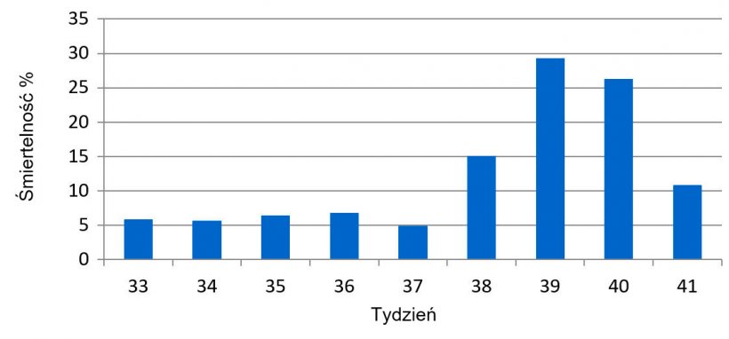 Wykres 1. Tygodniowa śmiertelność przed odsadzeniem przed i w trakcie wybuchu PED.
