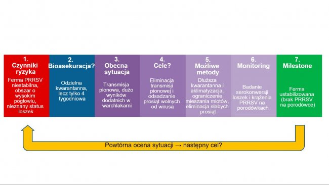 Bioasekuracja w zwalczaniu PRRSV