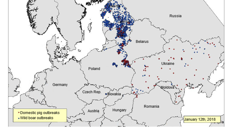 ASF outbreaks notified in Eastern Europe since June 2017 (Source: RASVE-ADNS)
