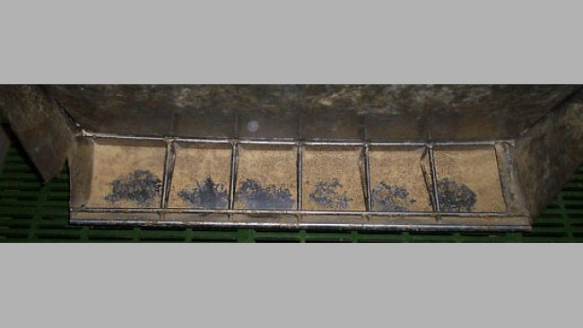 Manejo de la alimentación en el destete