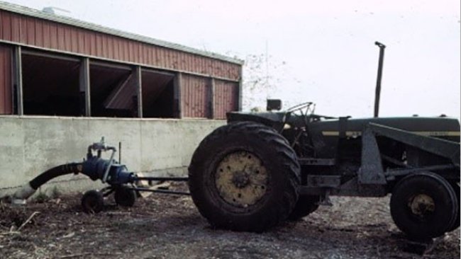  Hodowca niemal stracił swoje życie w tym budynku gdy poszedł doglądnąć świnie podczas mieszania.