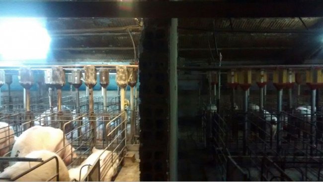 Foto 1. Różnice w oświetleniu w sektorze ciążowym przed i po zainstalowaniu dodatkowego światła.