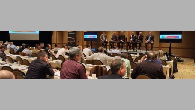 45th Annual Meeting of the AASV 3