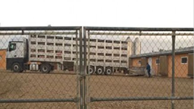 Fot 1. Musimy zapobiegać wjazdowi ciężarówki na fermę