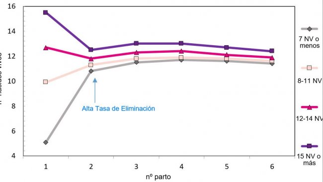 Graph 1. Production throughout the lifetime of the sow according to piglets born.