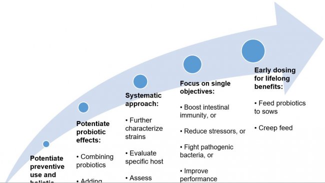 Ryc. 2. Strategie mające na celu poprawę stosowania probiotyk&oacute;w we wczesnych etapach życia
