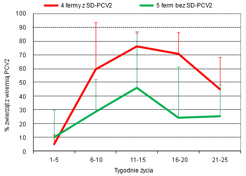Odsetek prosiąt z wiremią PCV2 w fermach z, lub bez PCV2-SD (na podstawie Sibila i wsp. 2004 Am J Vet Res)