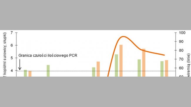 Porównanie dynamiki odsetka wiremicznych prosiąt (linie) i ich średniego poziomu wiremii (słupki). Pomiarów dokonano u prosiąt szczepionych w 3 tygodniu życia przy pomocy ilościowego testu PCR