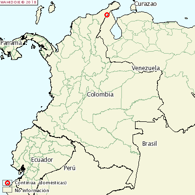 <p>Foot-and-mouth disease Colombia</p>

