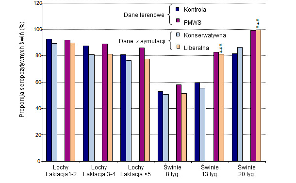 Ryc. 3. Porównanie symulacji seroprewalencji PCV2 z danymi terenowymi.