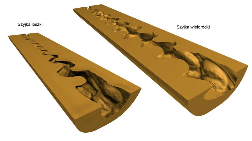 Ryc. 2. Cyfrowy model 3D szyjki macicy (przyśrodkowego przekroju podłużnego) loszek i wielor&oacute;dek uzyskanych po skanowaniu (NextEngine Desktop 3D Scanner, model 2020i) form endoluminalnych.
