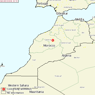 <p>Foot-and-mouth disease Morocco</p>

