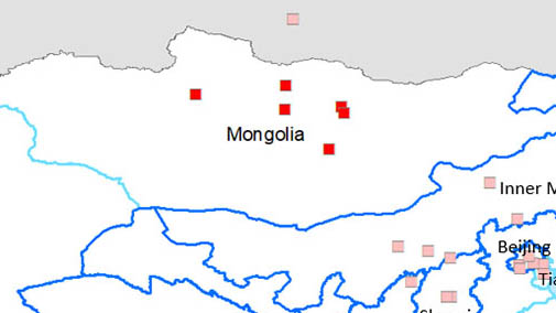 Affected provinces: Bulgan, Orkhon, Tuv and Dundgovi, as well as the district of Bayangol, in Ulaanbaatar.
