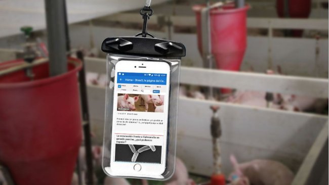 Wodoszczelny pokrowiec z telefonem