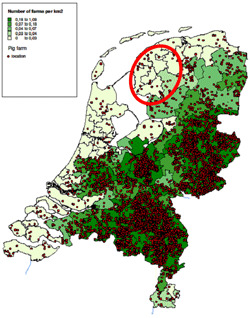 Dystrybucja ferm świń w Holandii i obszar programu zwalczania PRRSV (zaznaczony na czerwono)
