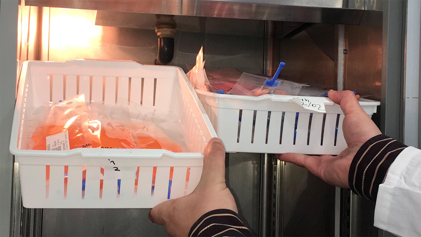 <p>Zapis temperatury w jednostce do przechowywania nasienia jest ważny, ale musisz go sprawdzać codziennie przed inseminacją.</p>
