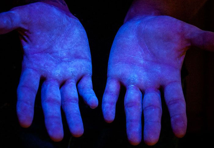 Zdjęcie 6.Proszek fluorescencyjny pod światłem UV uwidaczniający ilość zanieczyszczeń na ludzkich dłoniach. Żr&oacute;dło: www.glogerm.com
