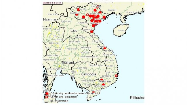 ASF Vietnam