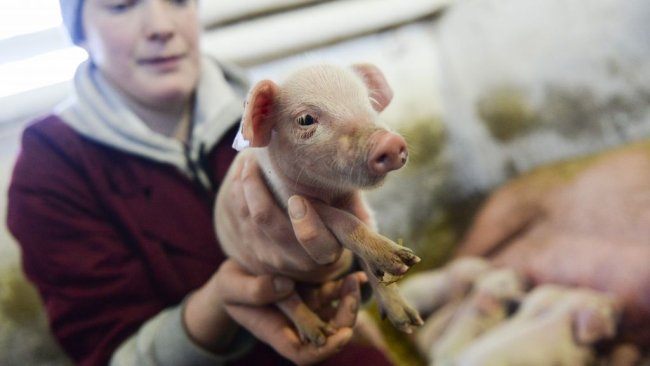 Министерство сельского хозяйства Российской Федера