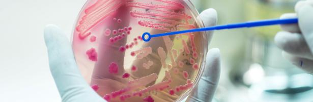 antimicrobial resistance