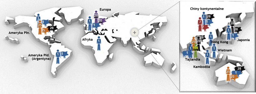 Figure 1. Najważniejsze typy Streptococcus suis serotyp 2 wg. sekwencji (STs)&nbsp; określone techniką MLST (multilocus sequence typing). Szczepy ST1 serotypu 2 są gł&oacute;wnie związane z chorobą u świń i ludzi&nbsp;(tam, gdzie dostępne są dane) w Europie, Azji, Afryce i Ameryce Południowej (Argentyna). ST7, pojedynczy wariant locus ST1, jest endemiczny dla Chin kontynentalnych. Sytuacja wygląda inaczej w Ameryce P&oacute;łnocnej, gdzie opisano kilka przypadk&oacute;w klinicznych zakażenia ST1 u świń i tylko 1 przypadek u ludzi. W rzeczywistości p&oacute;łnocnoamerykańskie szczepy serotypu 2 należą gł&oacute;wnie do ST25 ( u ludzi i świń) i ST28 (tylko świnie). Ten ostatni ST jest r&oacute;wnież związany z przypadkami klinicznymi u świń w Chinach kontynentalnych, Australii, Japonii i Tajlandii. Co ciekawe, Japonia i Tajlandia są jedynymi krajami, kt&oacute;re zgłaszają przypadki ludzi ST28. Opr&oacute;cz Ameryki P&oacute;łnocnej odnotowano przypadki ST25 u ludzi w Australii i Tajlandii. Wreszcie, ST20 jest rozpowszechniony tylko w Europie (gł&oacute;wnie w Holandii). Na tej mapie liczby (1, 20, 25, 28, 104) w r&oacute;żnych gospodarzach reprezentują r&oacute;żne ST (tj. ST1, ST20, ST25, ST28, ST104) i każdemu ST przypisano inny kolor. Mapa została stworzona na posdtawie: Segura M, Fittipaldi N, Calzas C, Gottschalk M. Critical Streptococcus suis virulence factors: Are they all really critical? Trends Microbiol. 2017; 25 (7): 585-599. doi: 10.1016 / j.tim.2017.02.005, z prawem autorskim.
