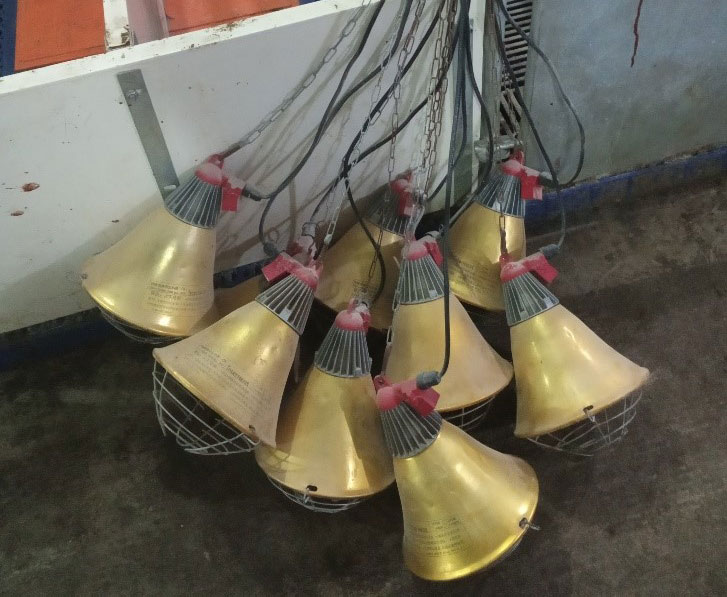 Zdjęcie 2: Złe przechowywane lamp grzejących na porod&oacute;wkach zwiększa ryzyko uszkodzenia żar&oacute;wki na podczerwień i połączeń elektrycznych (zdjęcie dzięki uprzejmości DanAg International, Chiny)
